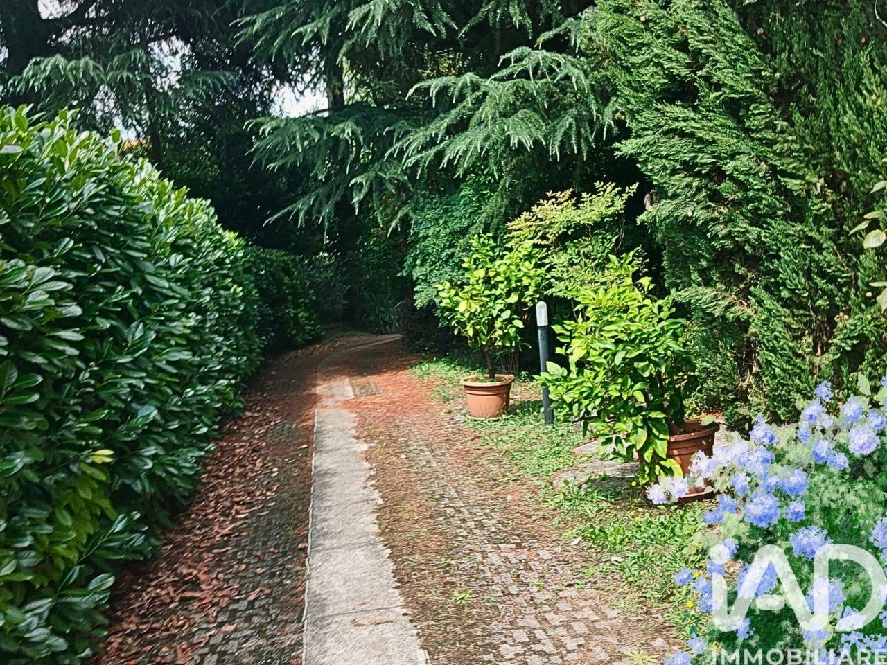 immagine annuncio 4 di 7