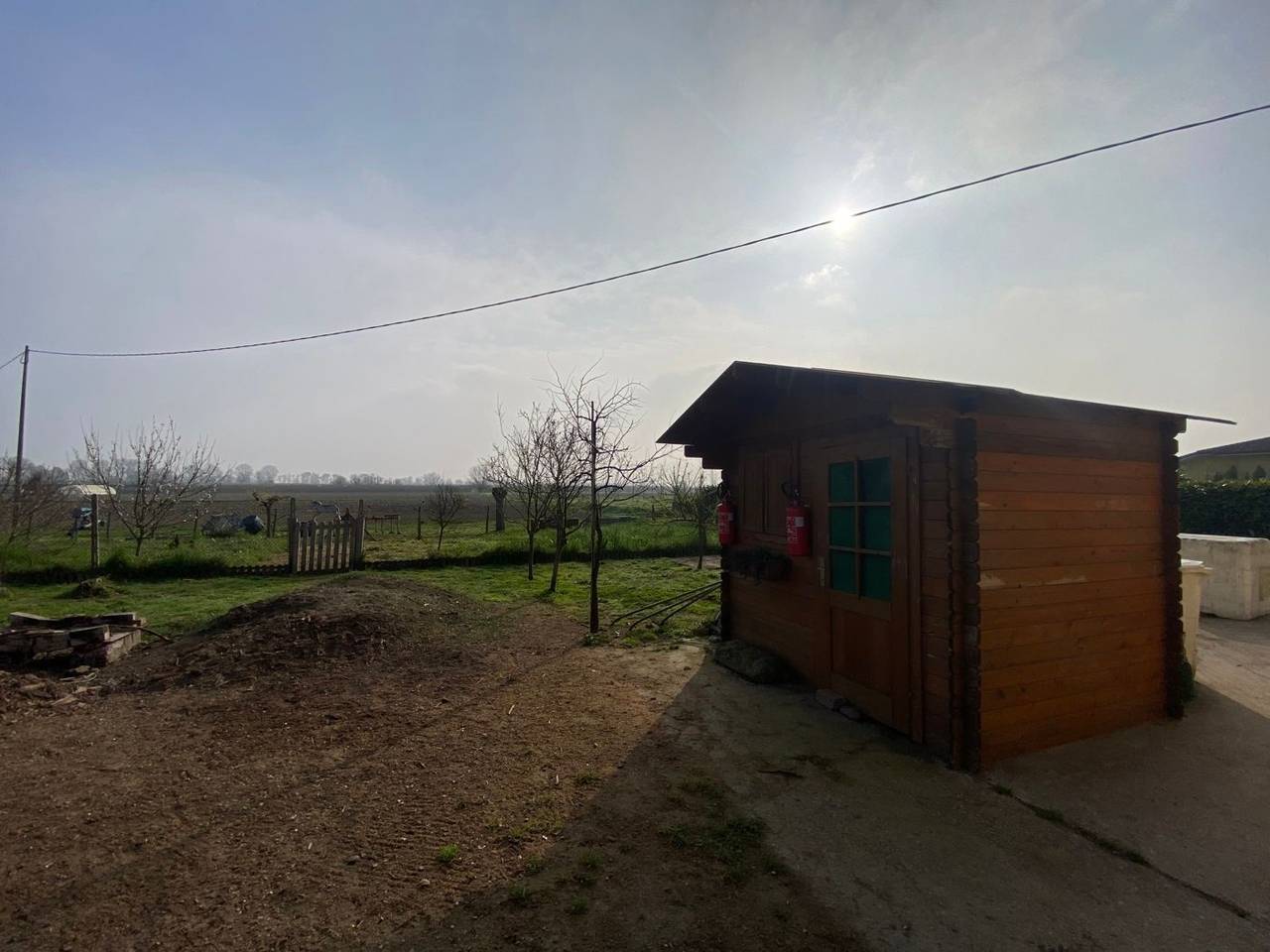 immagine annuncio 11 di 12