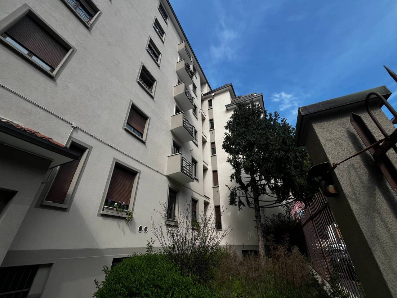 immagine annuncio 11 di 14