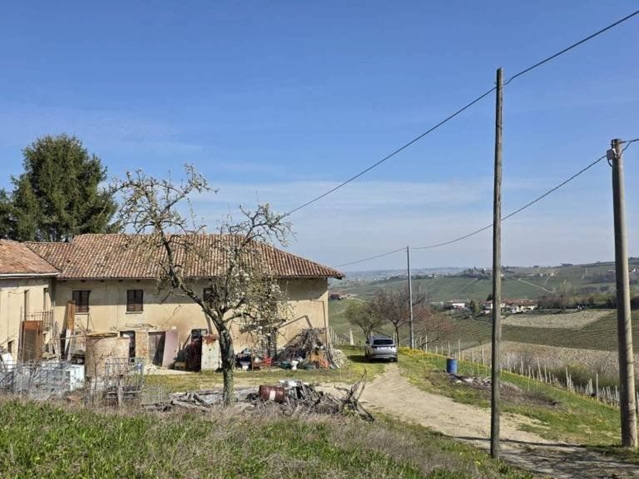 immagine annuncio 1 di 15