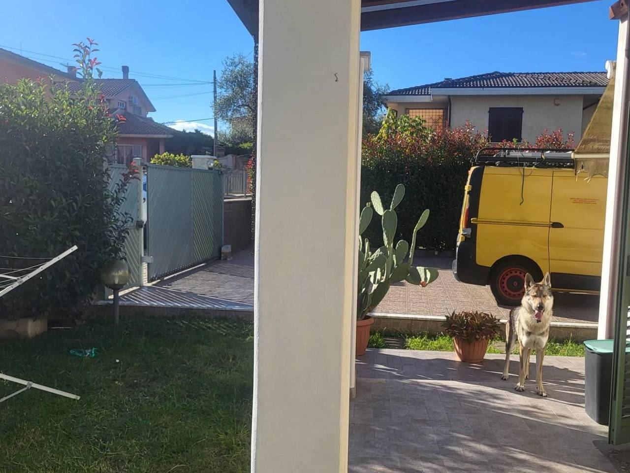 immagine annuncio 2 di 15
