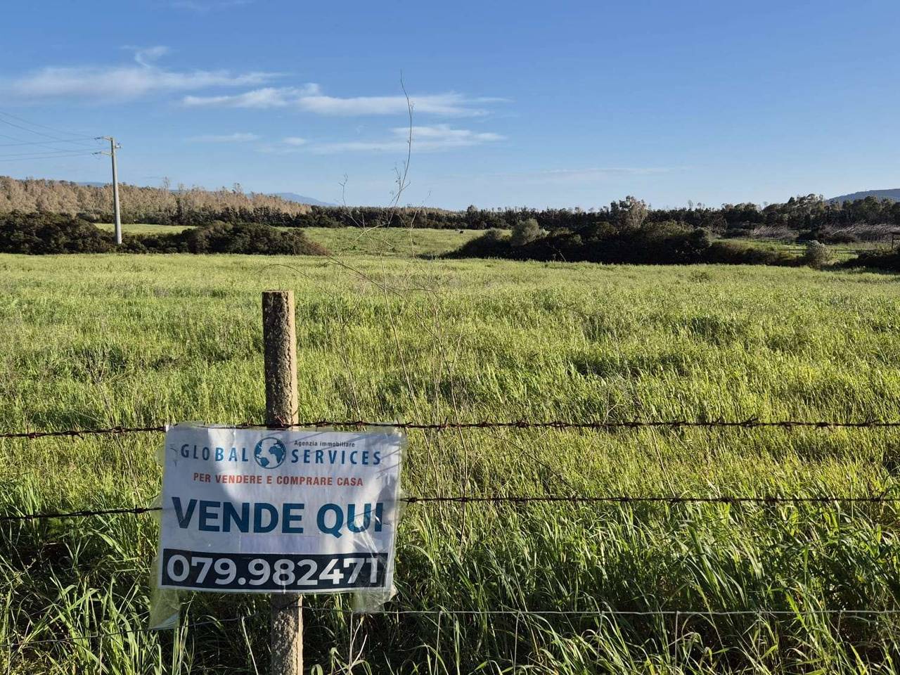 immagine annuncio 9 di 14