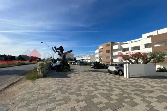 insertion image