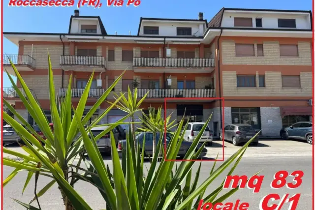 insertion image