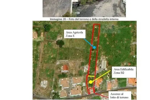 insertion image