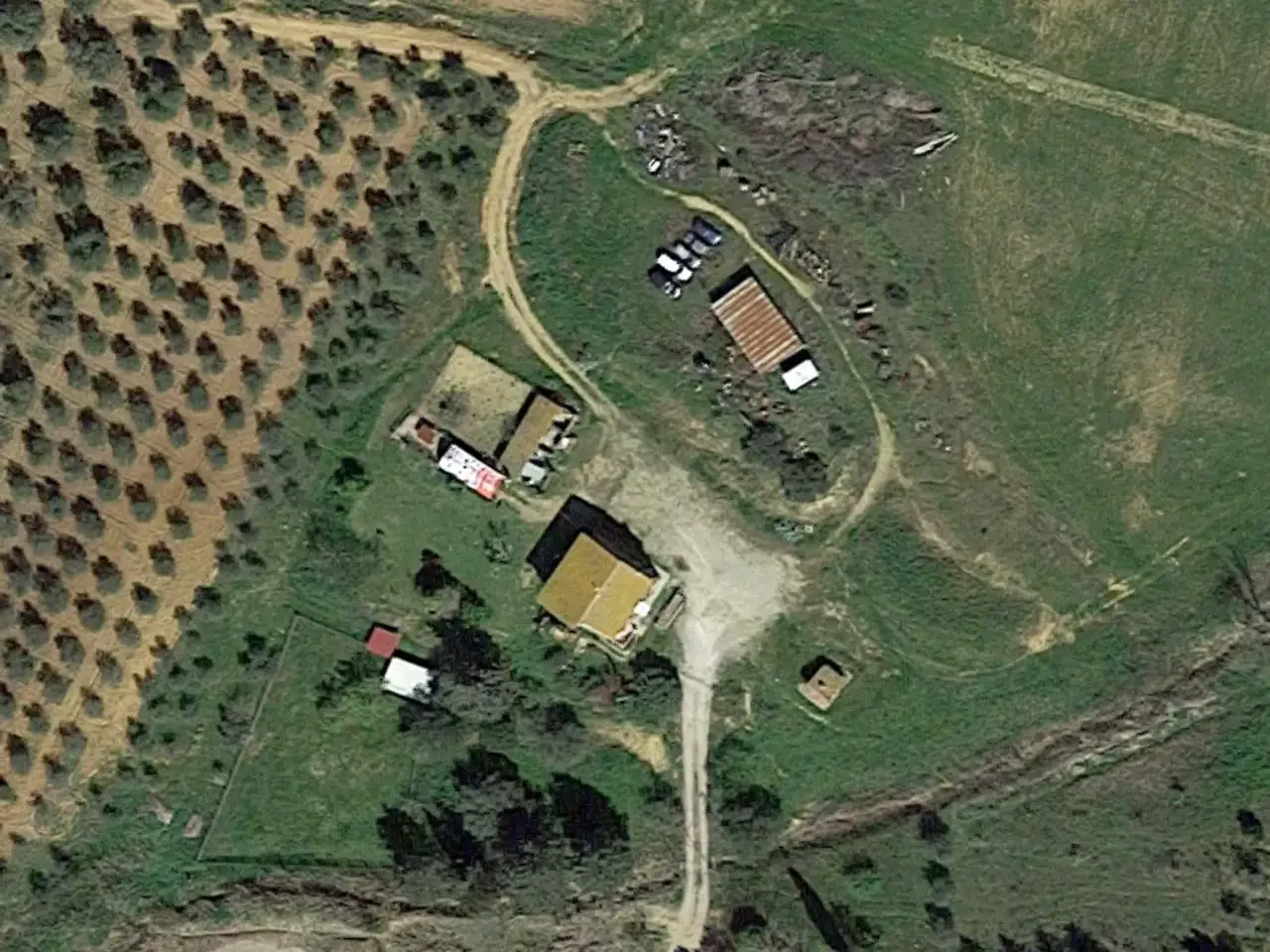 Azienda agricola in , Magliano In Toscana, {3} - Foto 1