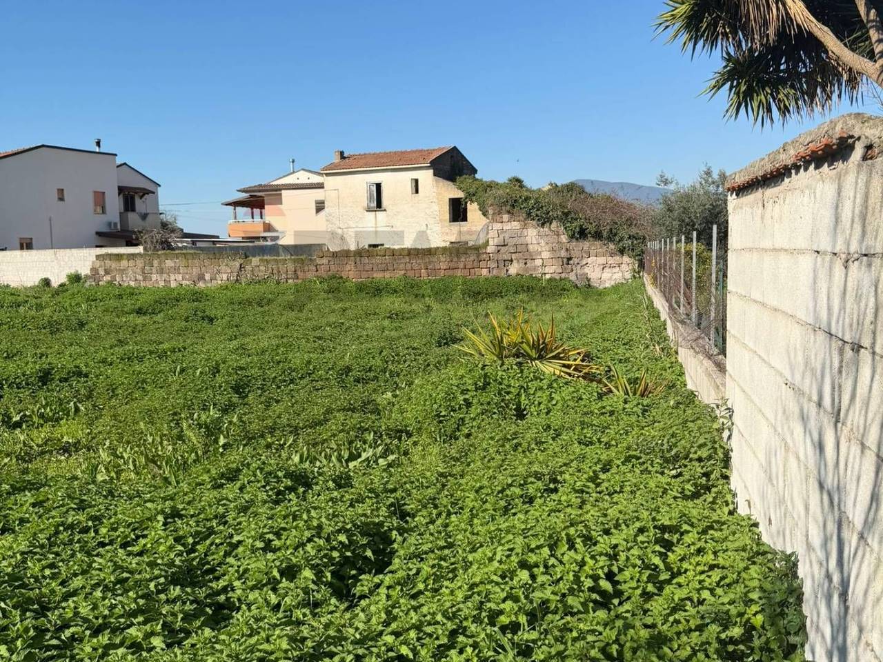 immagine annuncio 12 di 13