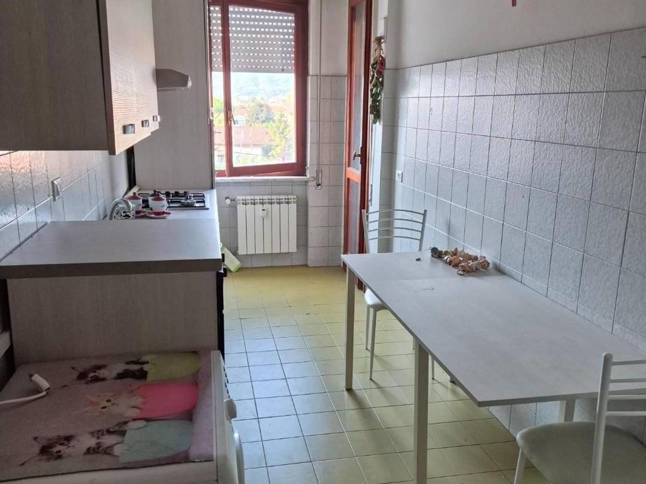 immagine annuncio 4 di 14