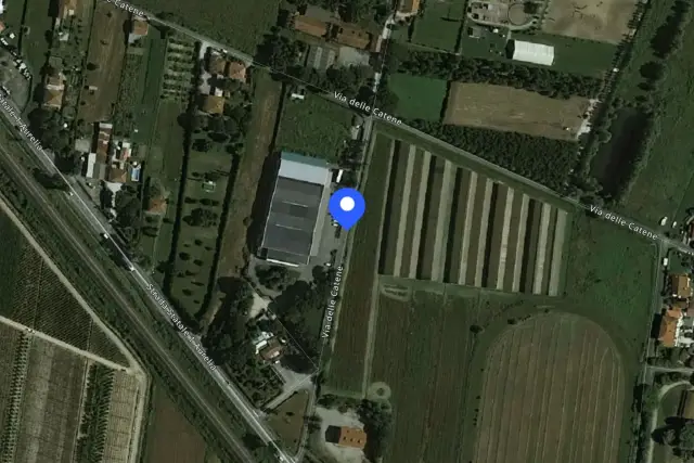 insertion image