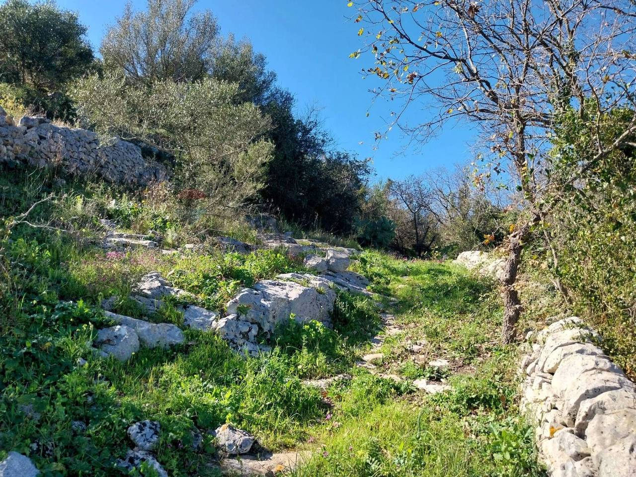 immagine annuncio 4 di 14