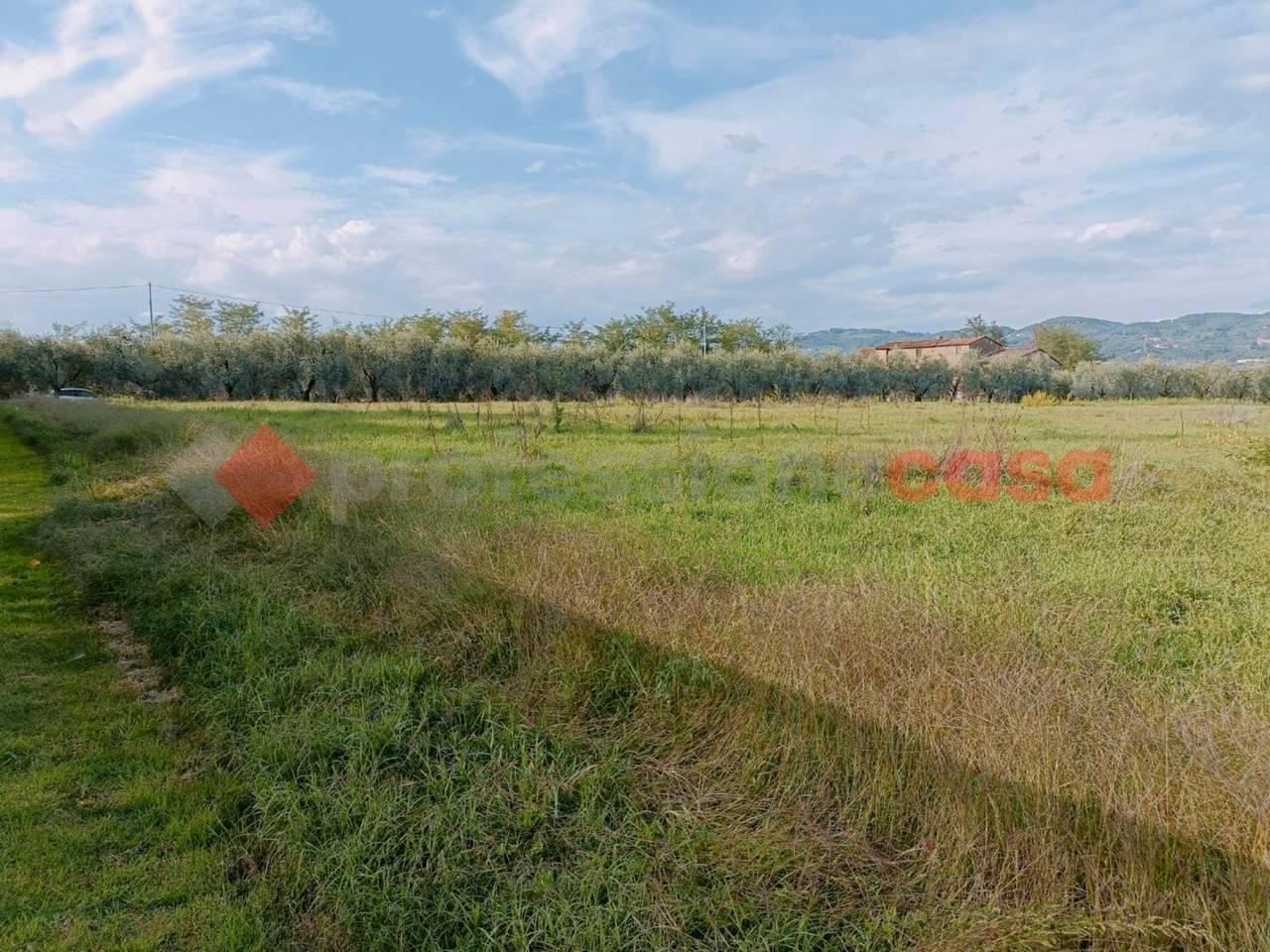 immagine annuncio 4 di 13