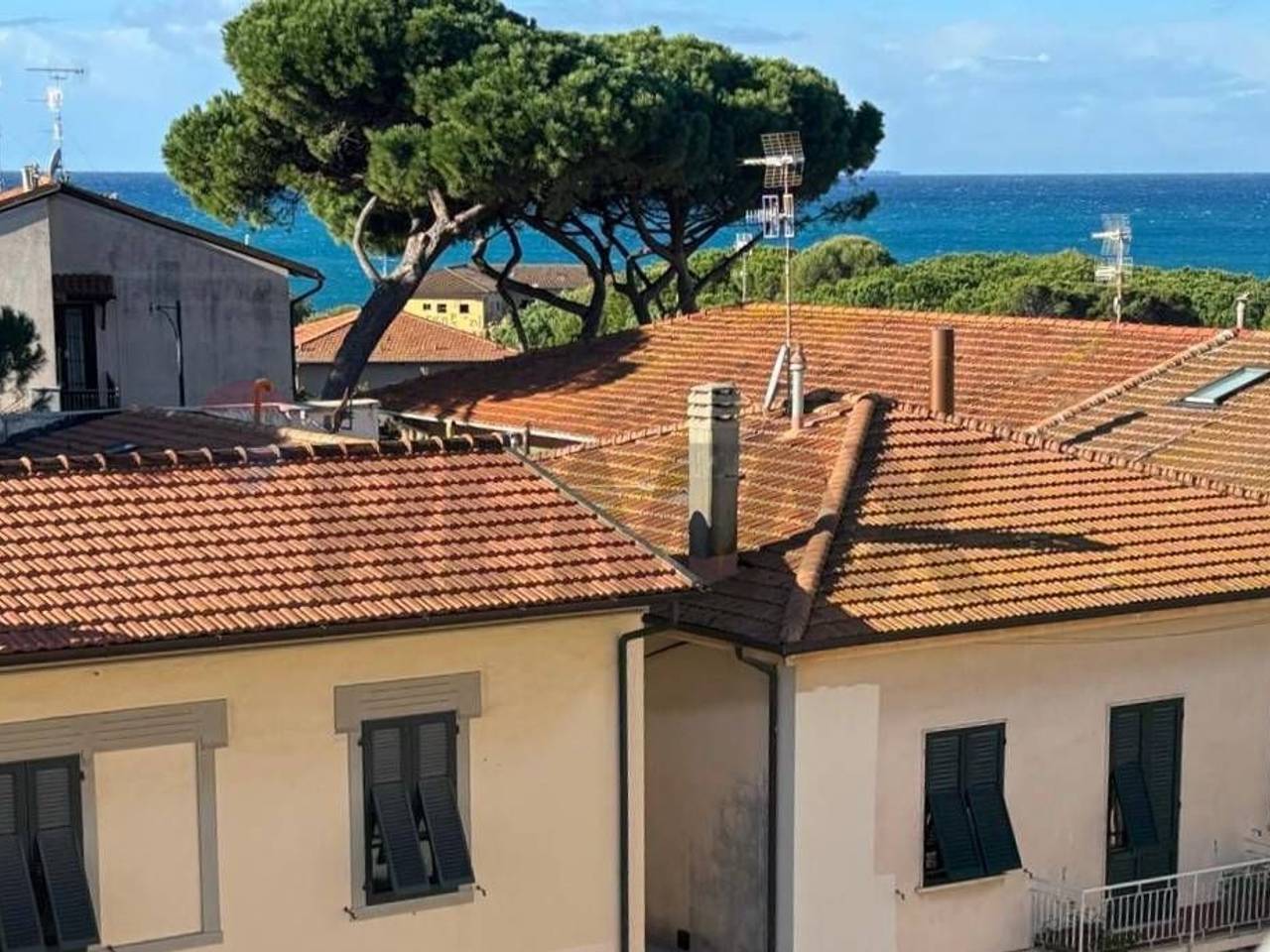 immagine annuncio 2 di 6