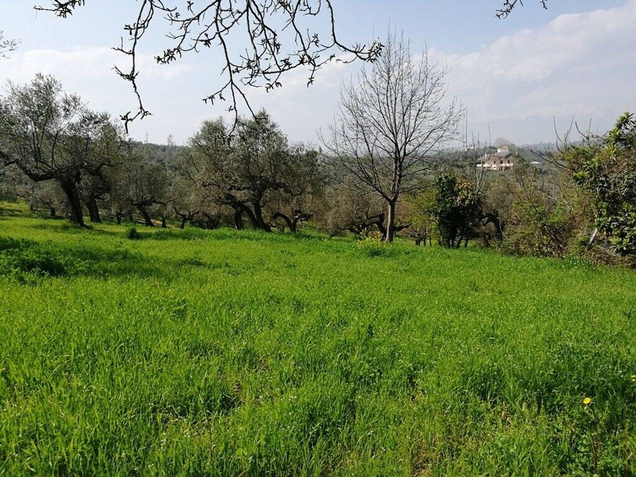 immagine annuncio 9 di 14