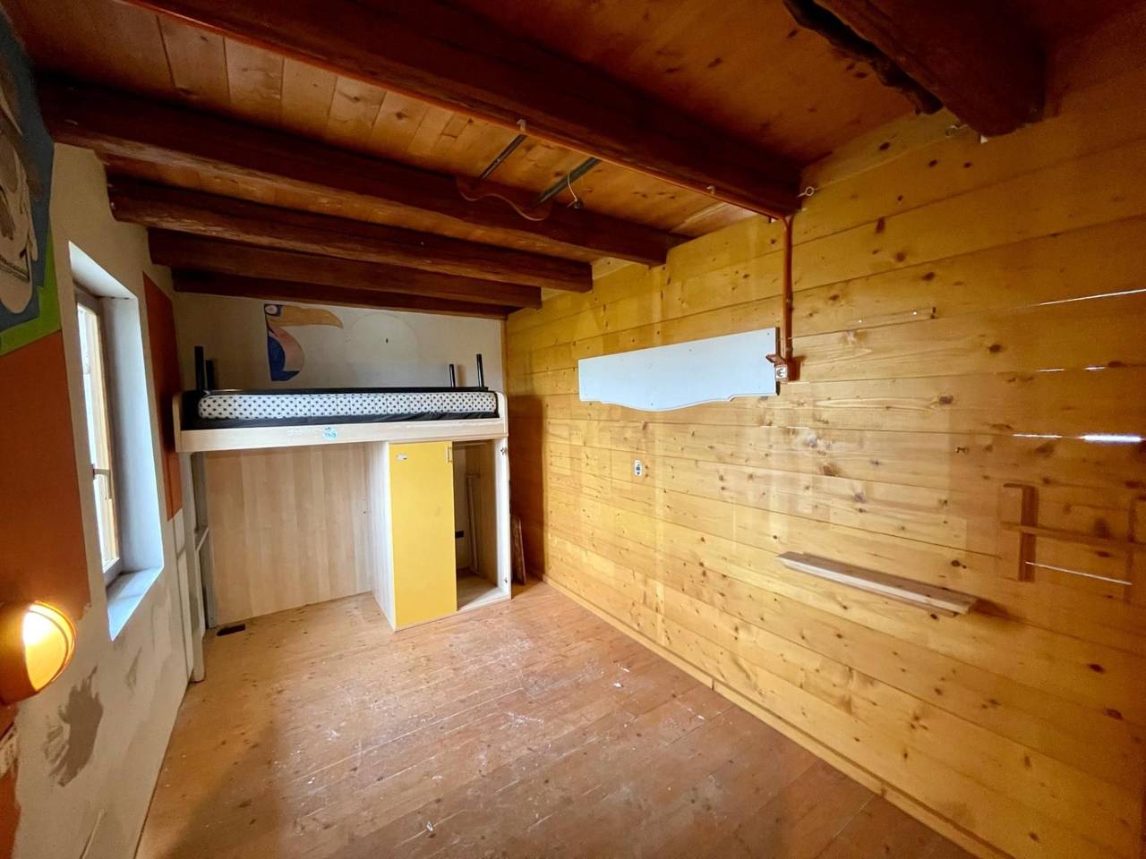 immagine annuncio 11 di 14