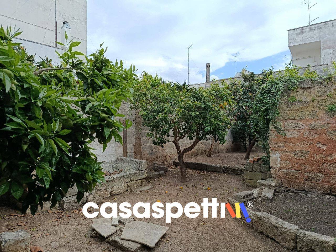 immagine annuncio 1 di 13