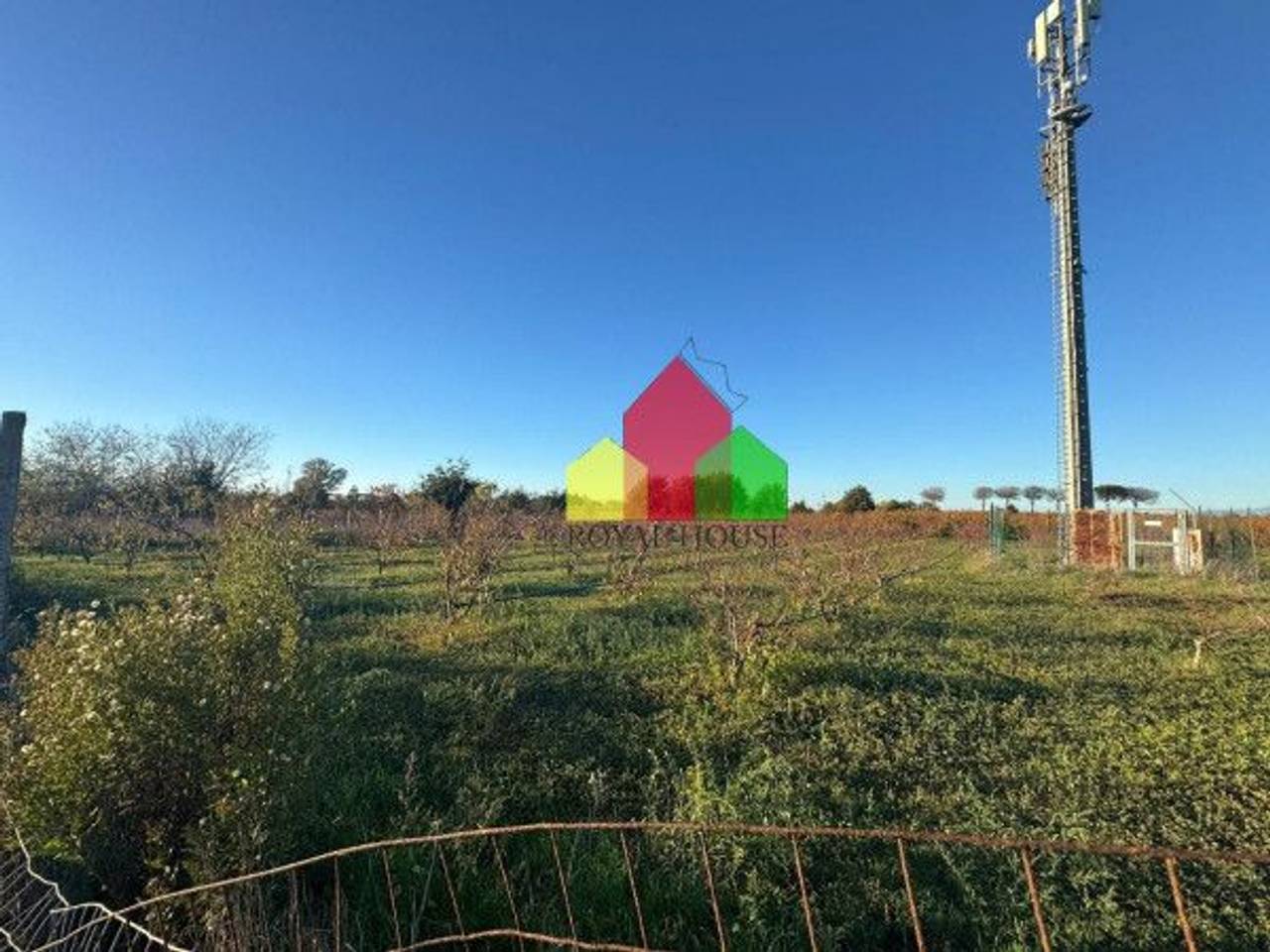 immagine annuncio 2 di 12