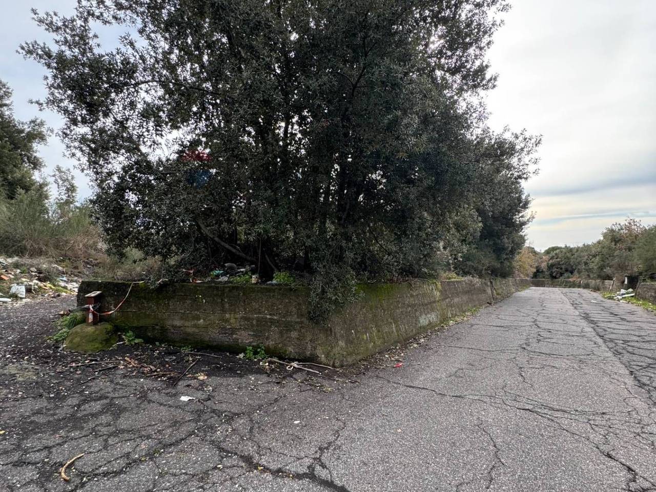 immagine annuncio 5 di 8