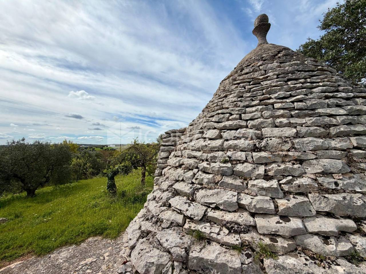 immagine annuncio 4 di 11