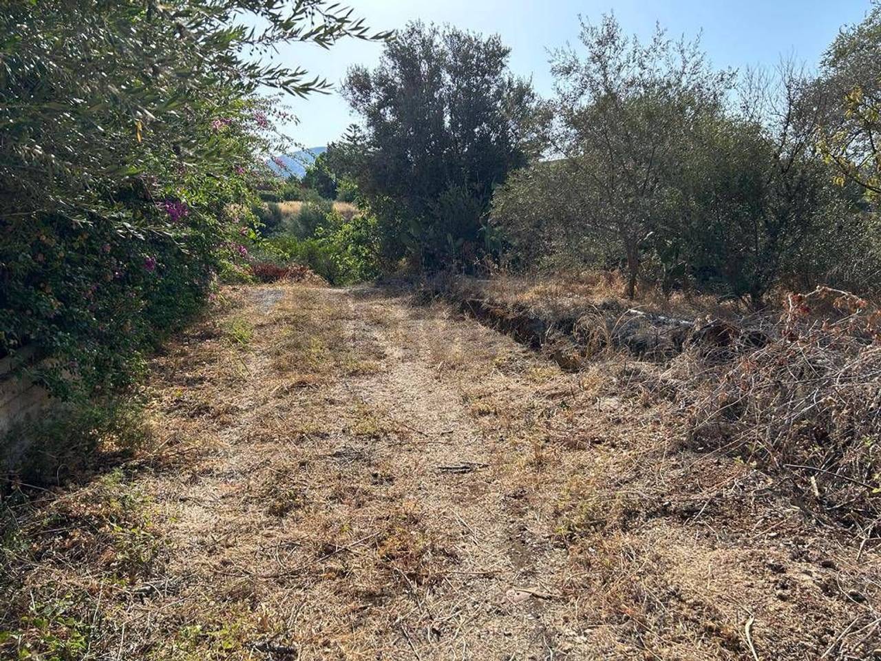 immagine annuncio 8 di 12