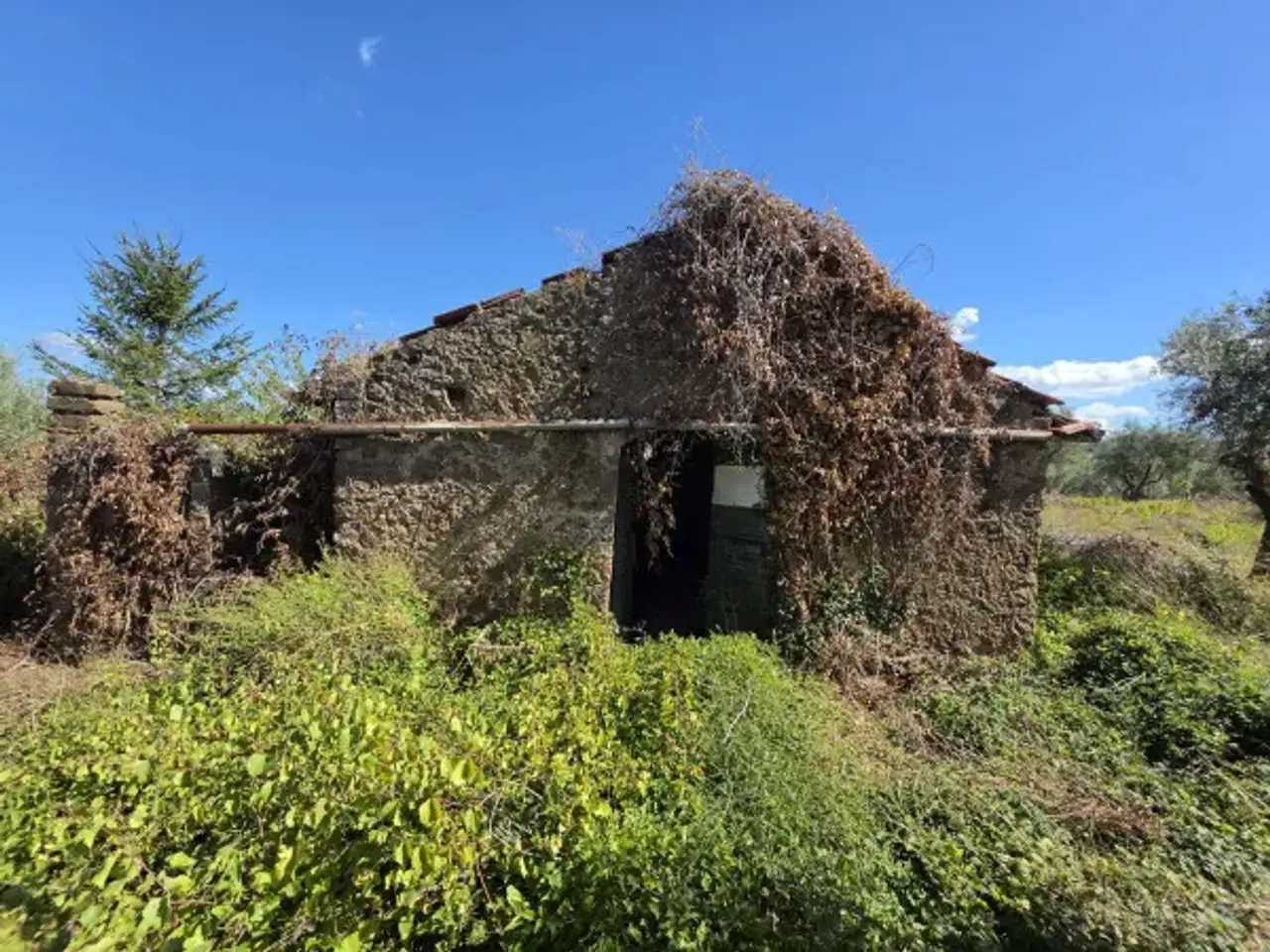 Magazzino in Via di Colle Selva, Gallicano Nel Lazio, {3} - Foto 2