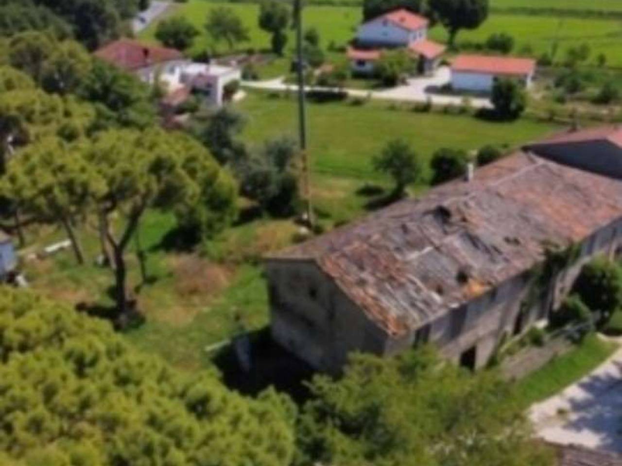 immagine annuncio 2 di 12