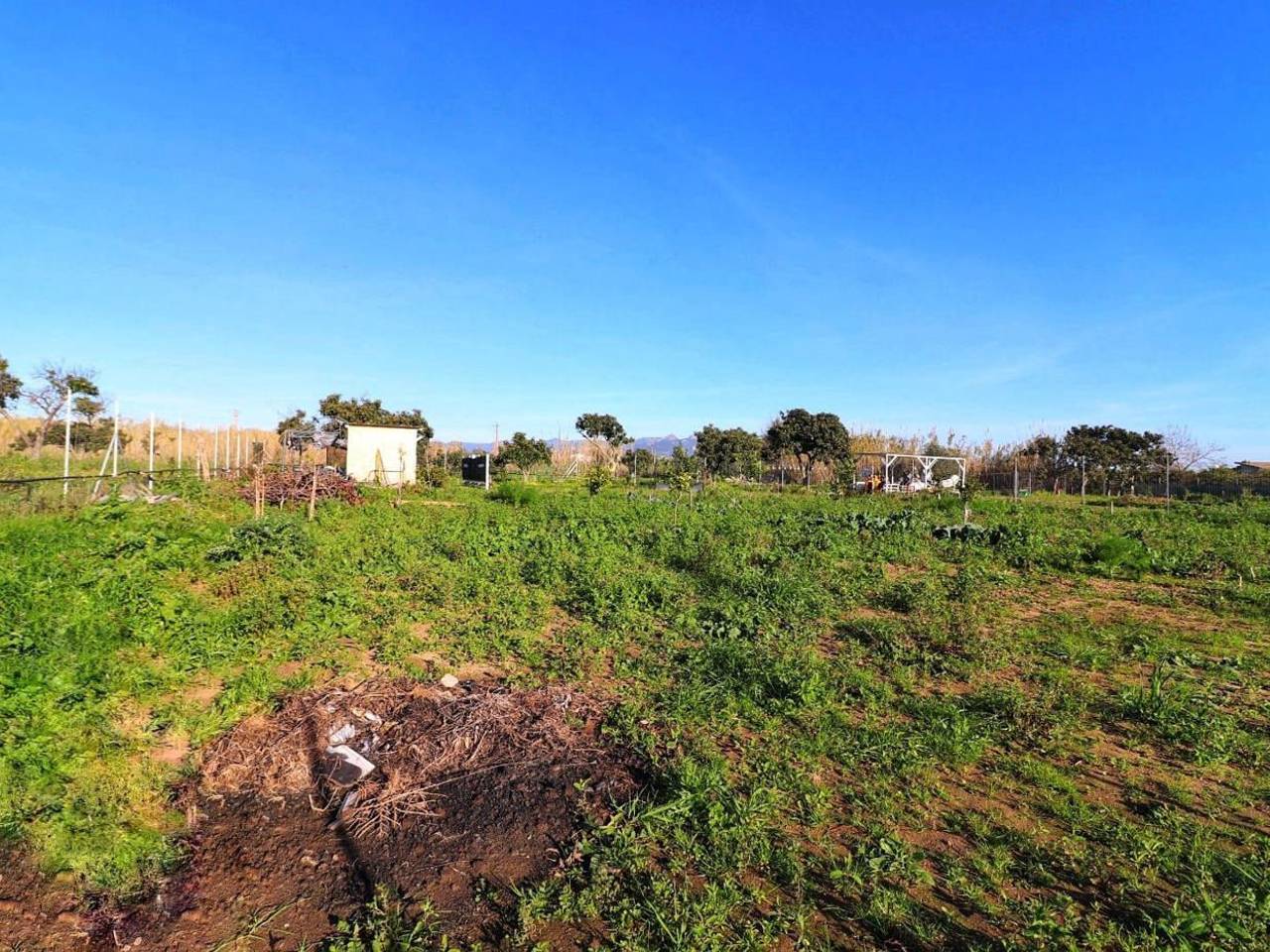 immagine annuncio 3 di 13