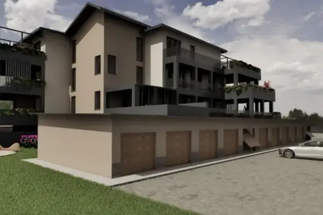 insertion image