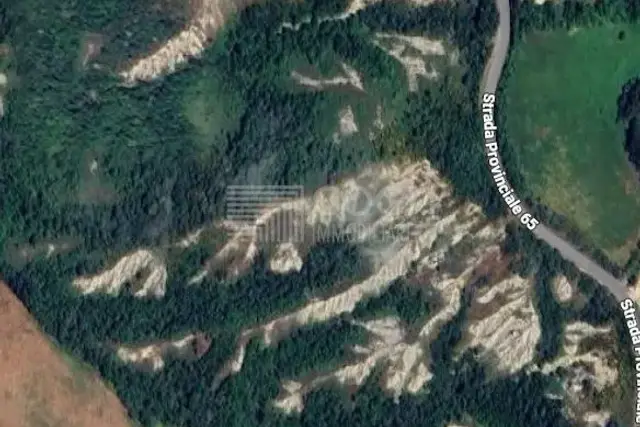 insertion image
