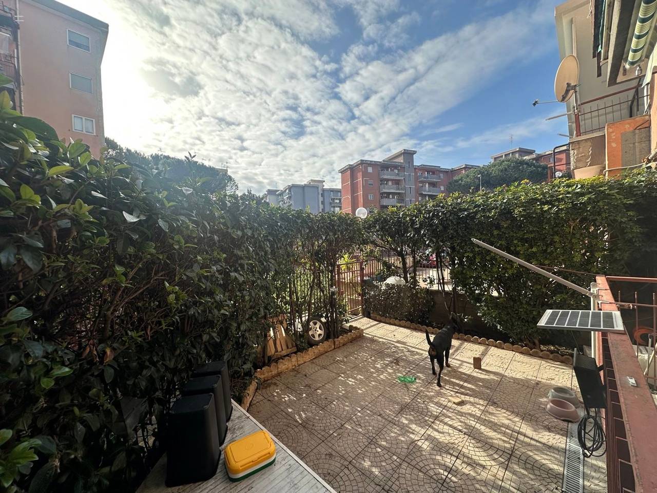 immagine annuncio 7 di 15