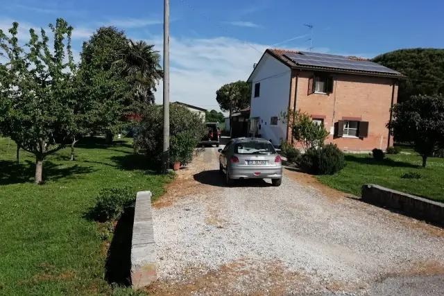 insertion image