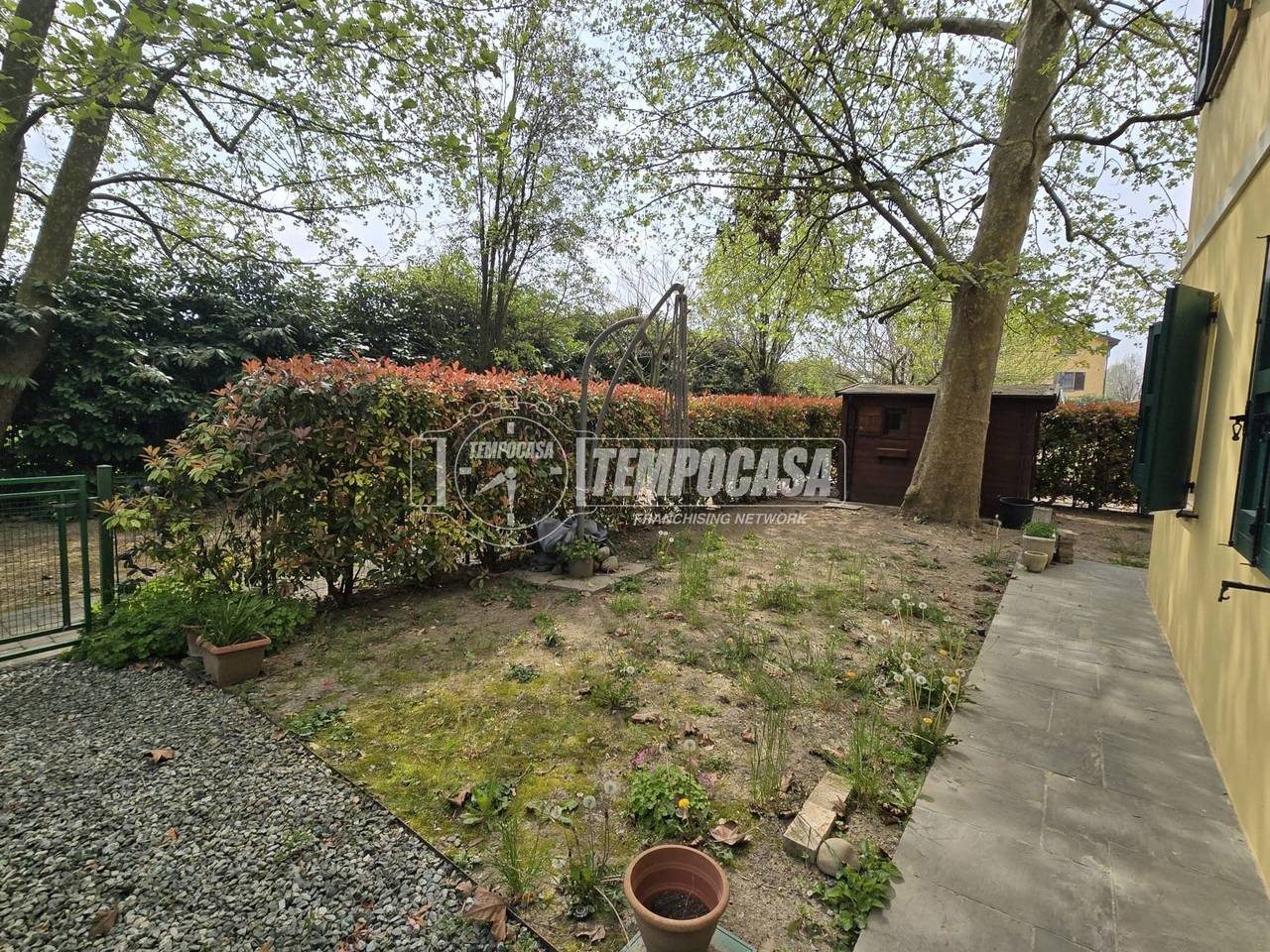 immagine annuncio 4 di 12