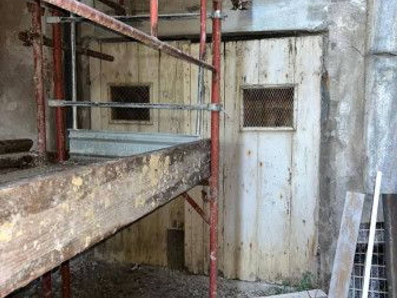 immagine annuncio 7 di 13