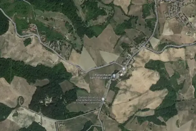 insertion image