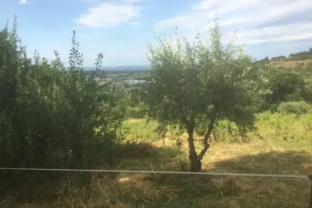 Terreno agricolo, Poggibonsi - Foto 1