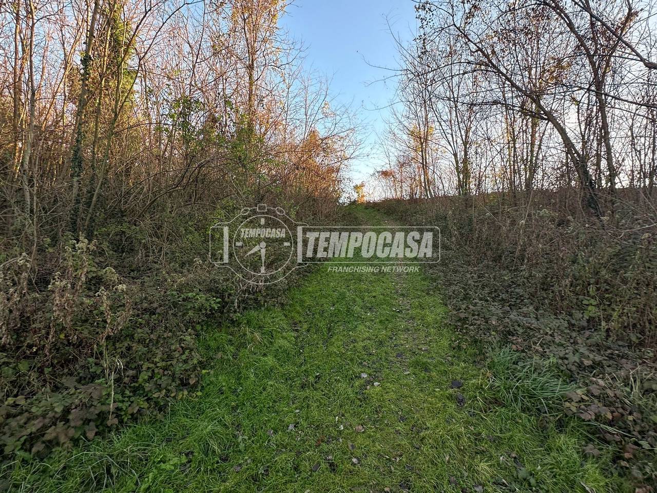 immagine annuncio 3 di 6