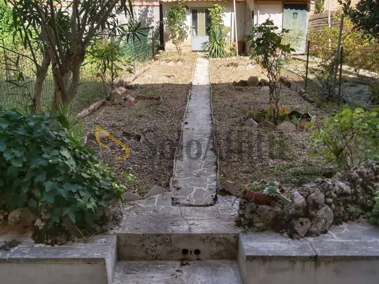 immagine annuncio 12 di 14