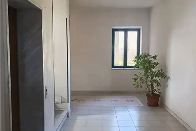 insertion image