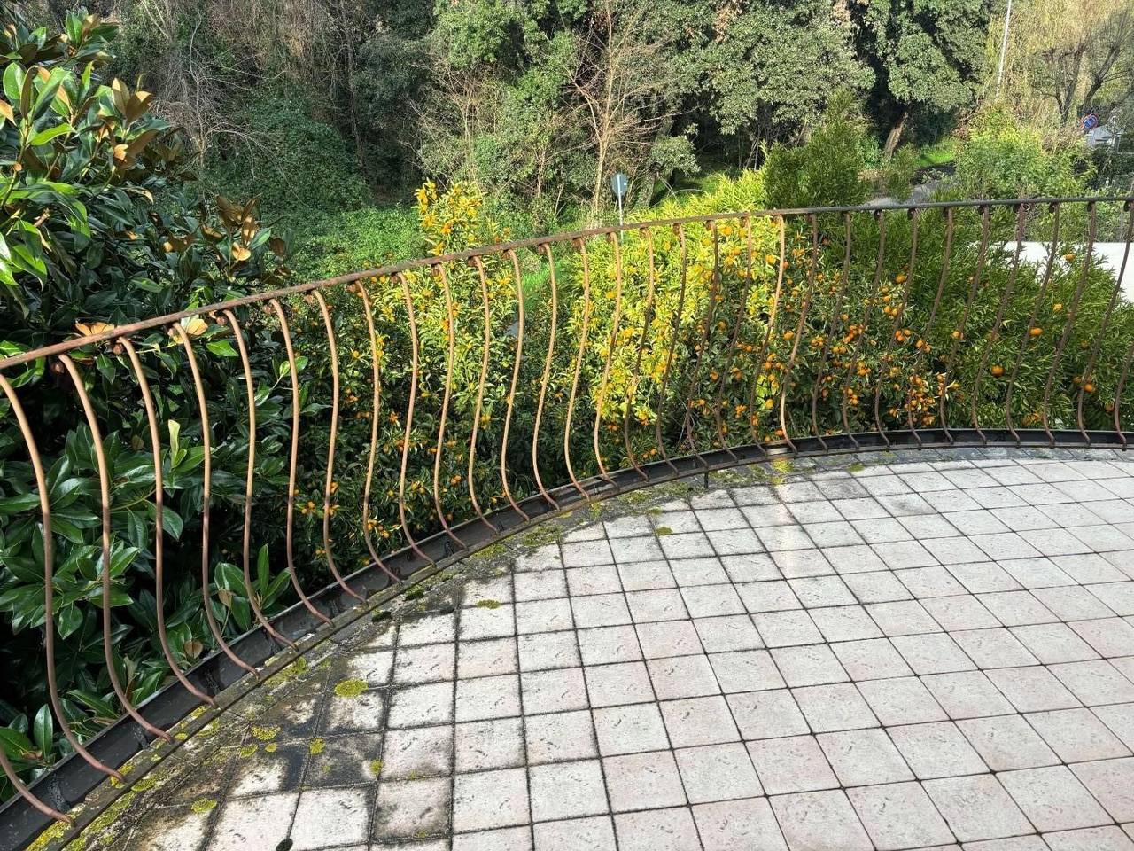 immagine annuncio 5 di 6