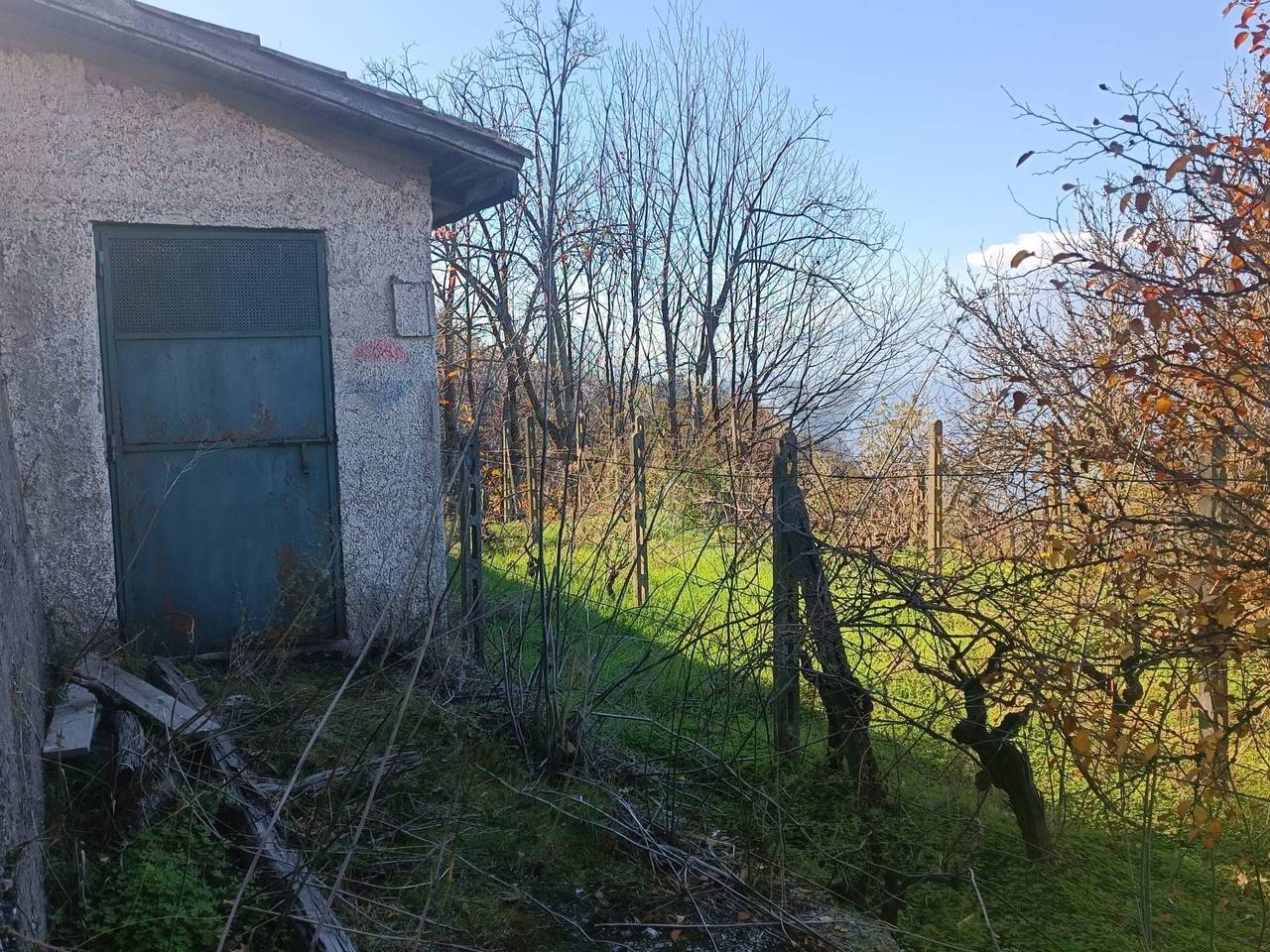 immagine annuncio 11 di 15