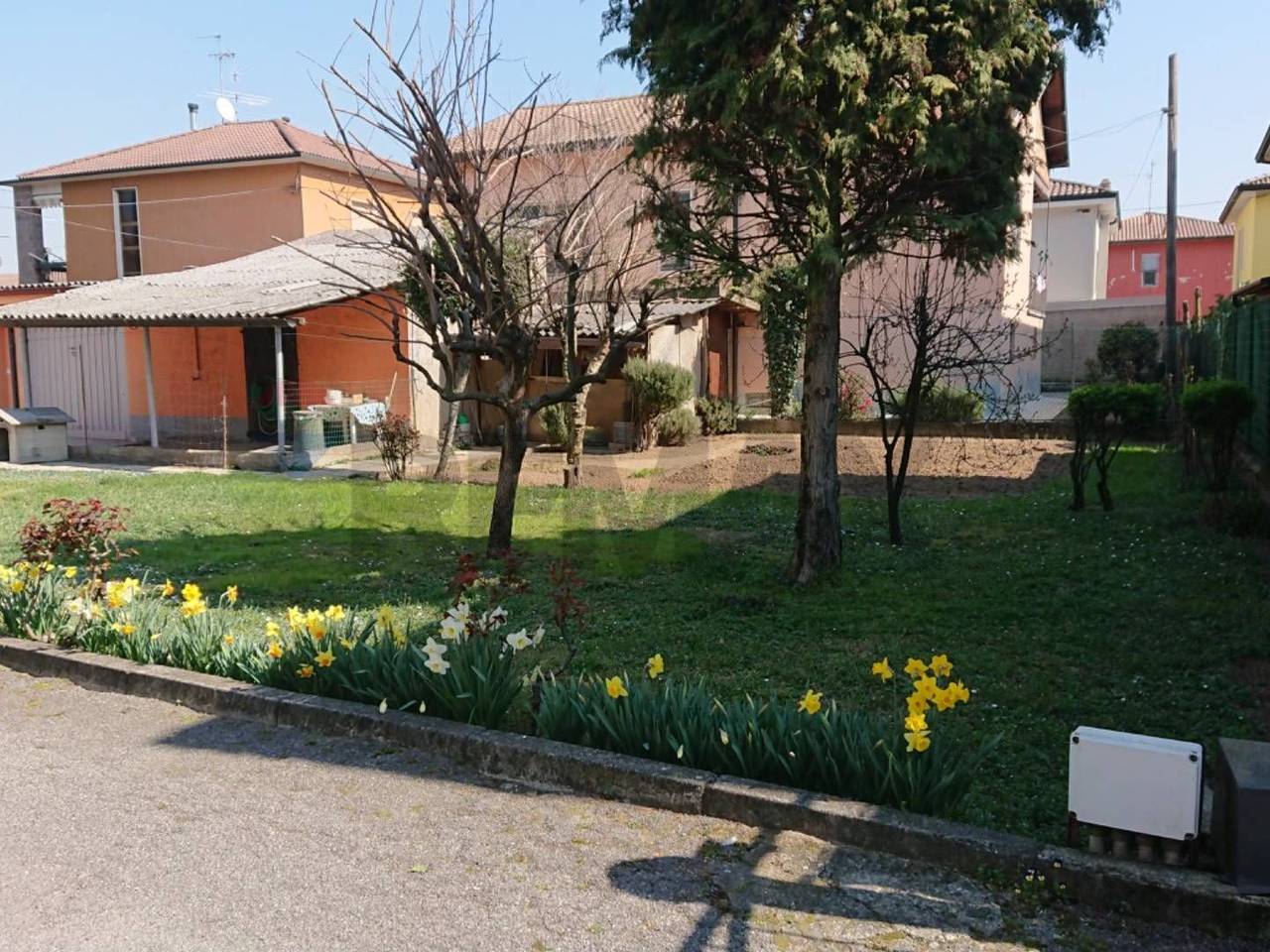 immagine annuncio 5 di 10