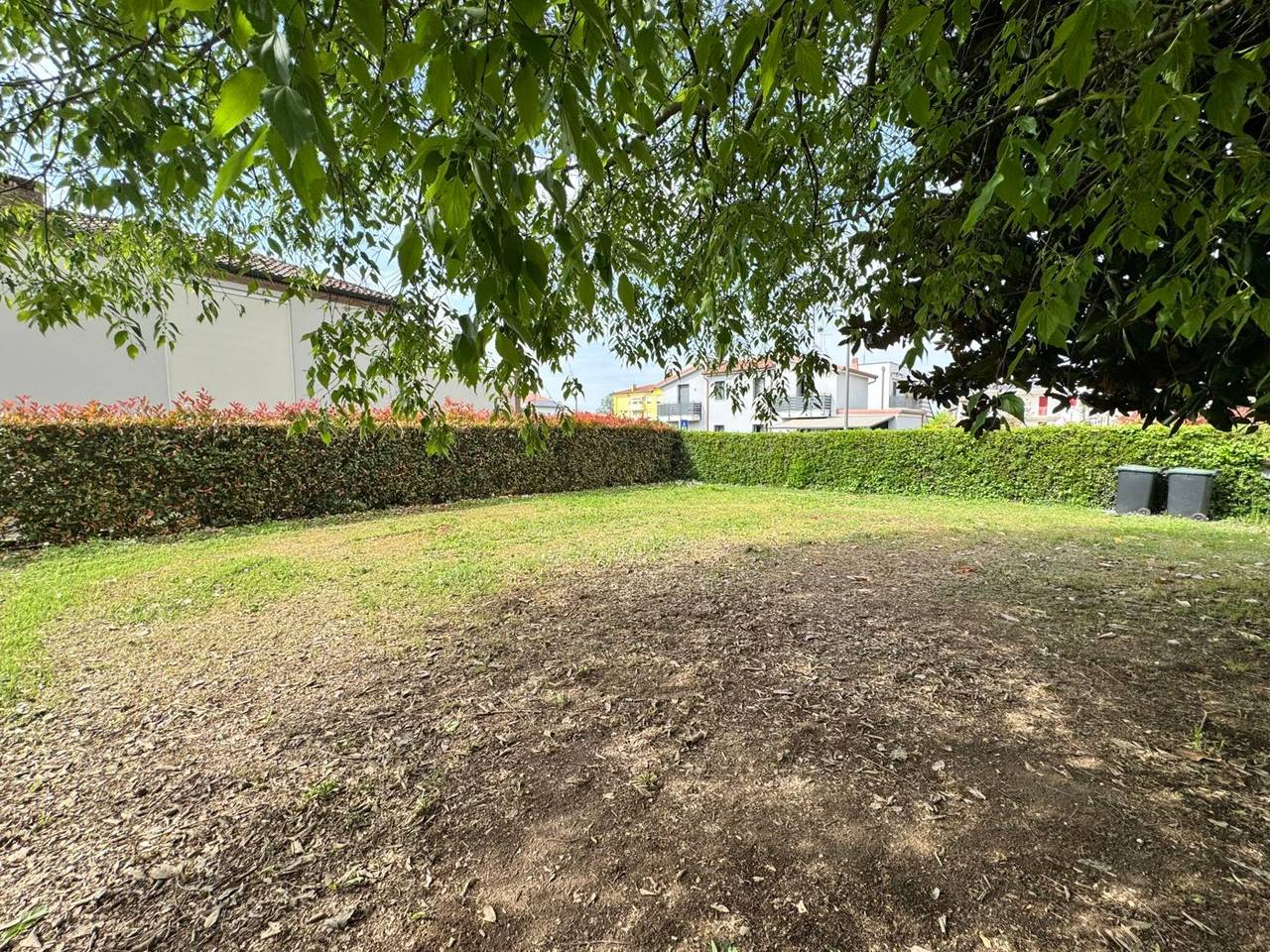 immagine annuncio 9 di 12