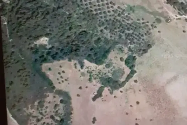 insertion image