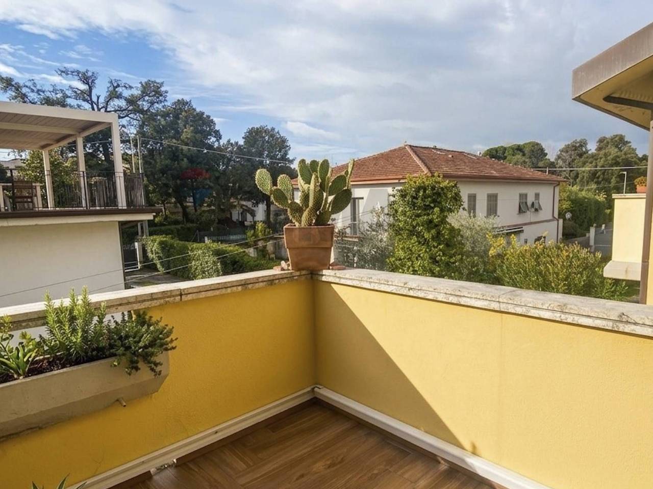 immagine annuncio 12 di 13