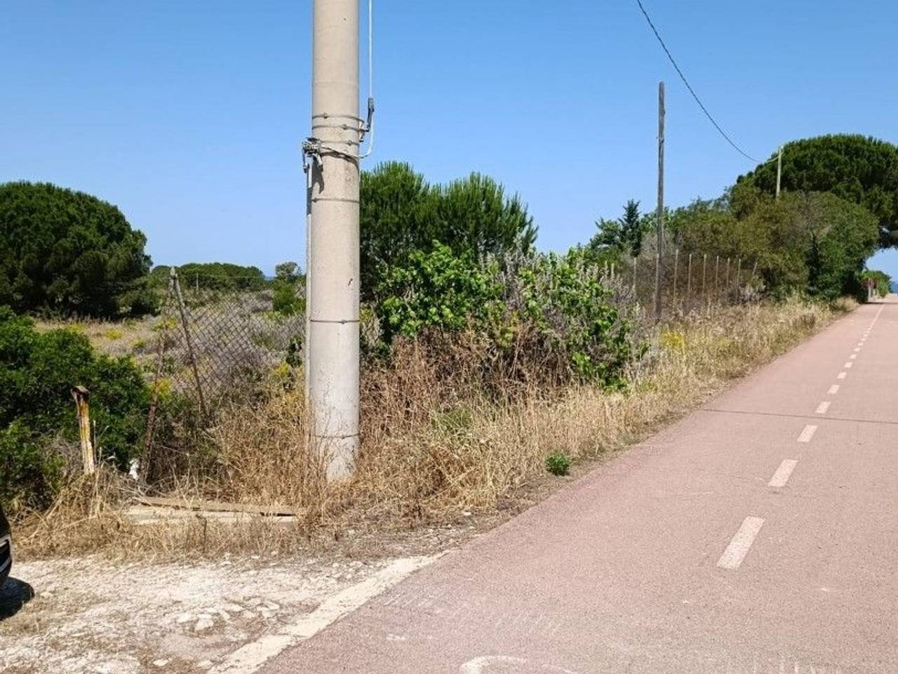 immagine annuncio 1 di 8