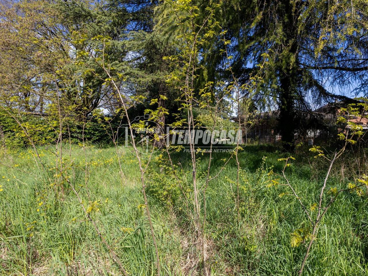 immagine annuncio 6 di 14