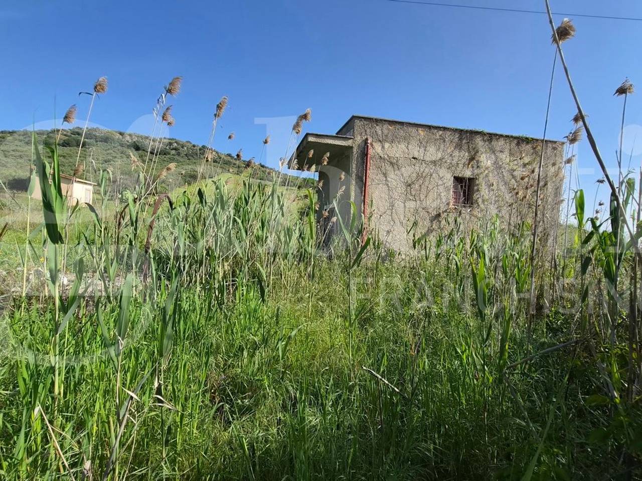 immagine annuncio 5 di 8