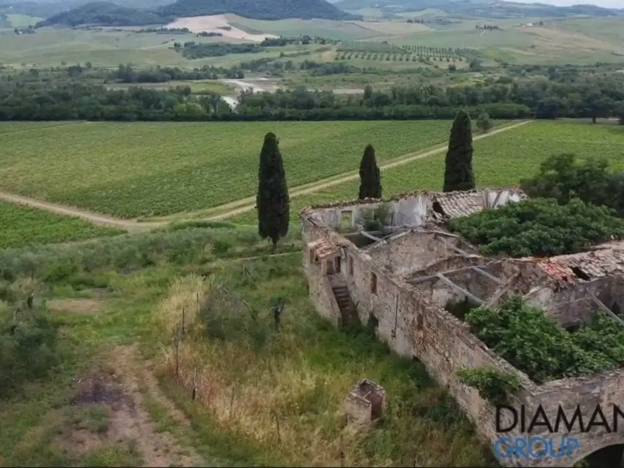 Azienda agricola in , Montalcino, {3} - Foto 2