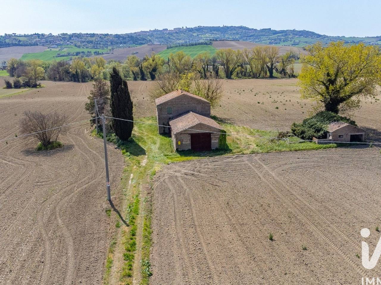 immagine annuncio 2 di 14