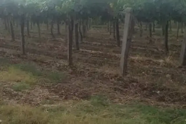 Terreno agricolo in Via Astura, Lanuvio - Foto 1