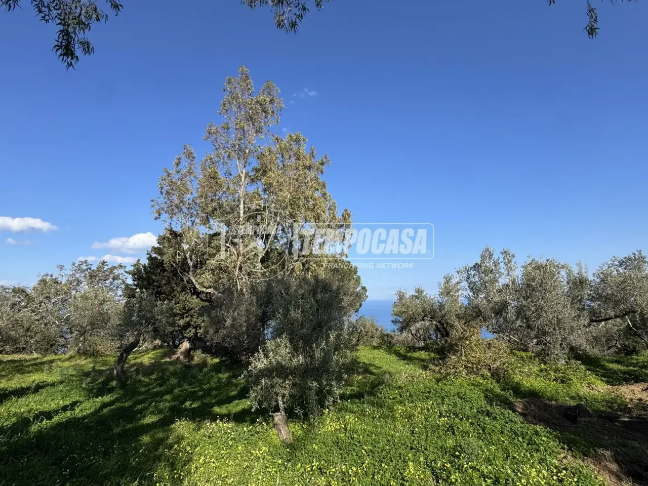 Magazzino in Via Contrada Campi Castanea , Messina, {3} - Foto 1